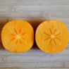 Scion de Kaki Pomme Taishu cultivé dans le Tarn - résistant aux maladies - compatible Agriculture Bio