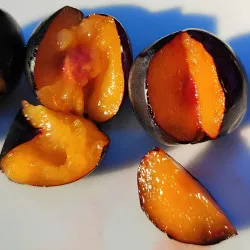 Scion de pluot / hybride Prumix™ Trésor des Lutins cultivé dans le Tarn - résistant aux maladies - compatible Agriculture Bio