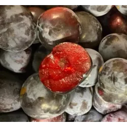 Scion de pluot / hybride Prumix™ Roi des Saveurs cultivé dans le Tarn - résistant aux maladies - compatible Agriculture Bio