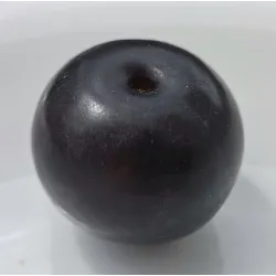 Scion de pluot / hybride Prumix™ Trésor des Lutins cultivé dans le Tarn - résistant aux maladies - compatible Agriculture Bio