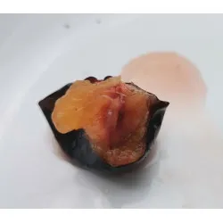 Scion de pluot / hybride Prumix™ Trésor des Lutins cultivé dans le Tarn - résistant aux maladies - compatible Agriculture Bio