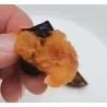 Scion de pluot / hybride Prumix™ Trésor des Lutins cultivé dans le Tarn - résistant aux maladies - compatible Agriculture Bio