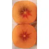 Scion de Kaki Hira Tanenashi cultivé dans le Tarn - résistant aux maladies - compatible Agriculture Bio