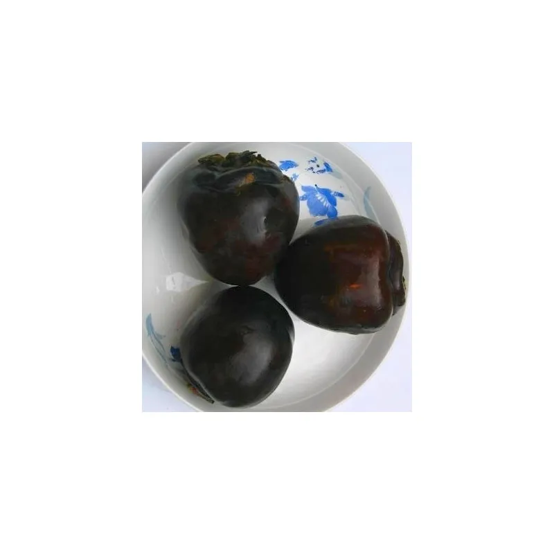 Scion de Kaki Noir Huk Kam cultivé dans le Tarn - résistant aux maladies - compatible Agriculture Bio
