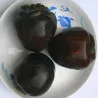 Scion de Kaki Noir Huk Kam cultivé dans le Tarn - résistant aux maladies - compatible Agriculture Bio
