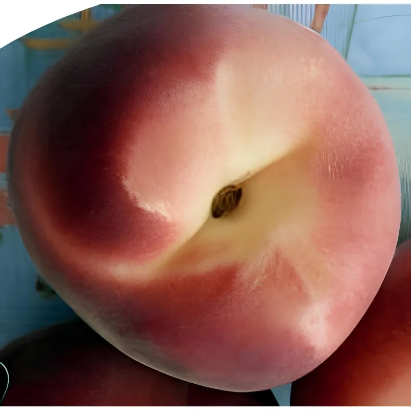 Scion de Pêcher Grosse Mignonne cultivé dans le Tarn - Résistant à la cloque - compatible Agriculture Biologique