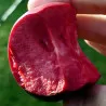 Scion de Pommier Baya Marisa cultivé dans le Tarn - assez résistant tavelure - compatible Agriculture Biologique