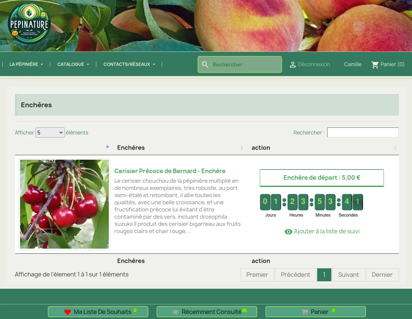 Présentation enchères Pepinature