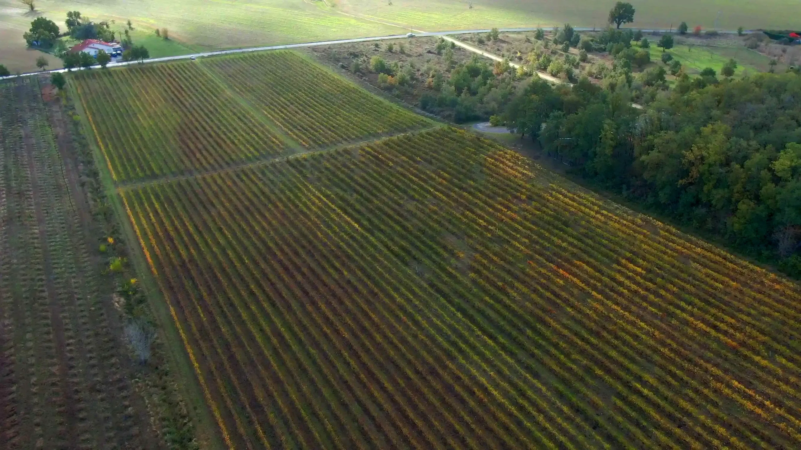 Terrain à l'automne, vue aérienne, proche de l'entrée